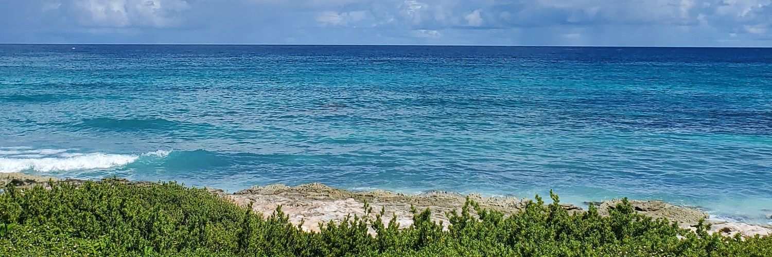 _Jennidom's profile banner image
