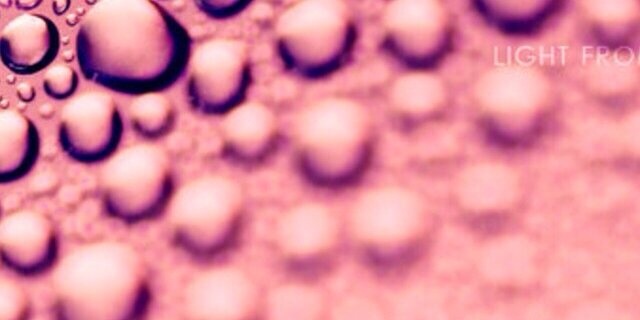 littlebug64's profile banner image