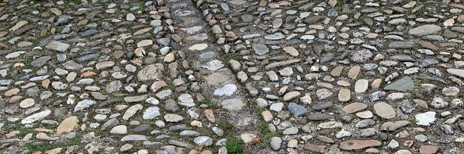 ignacio camacho martínez banner