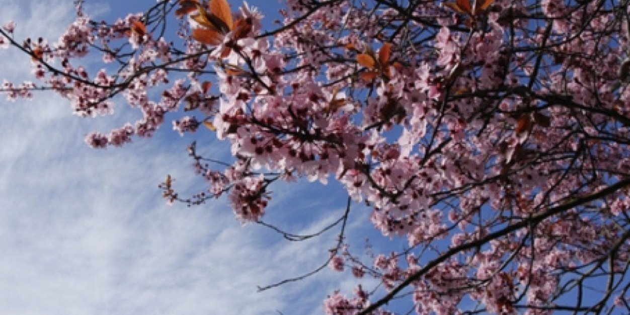 Sarah_Gilpin's profile banner image