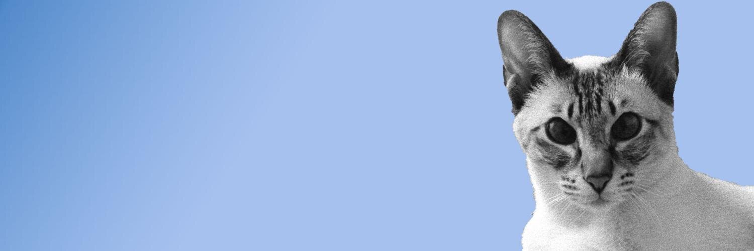 e_laba_be's profile banner image