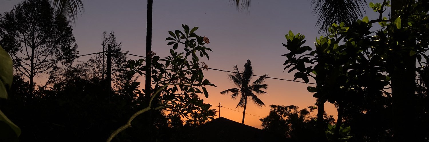 oguzozg's profile banner image