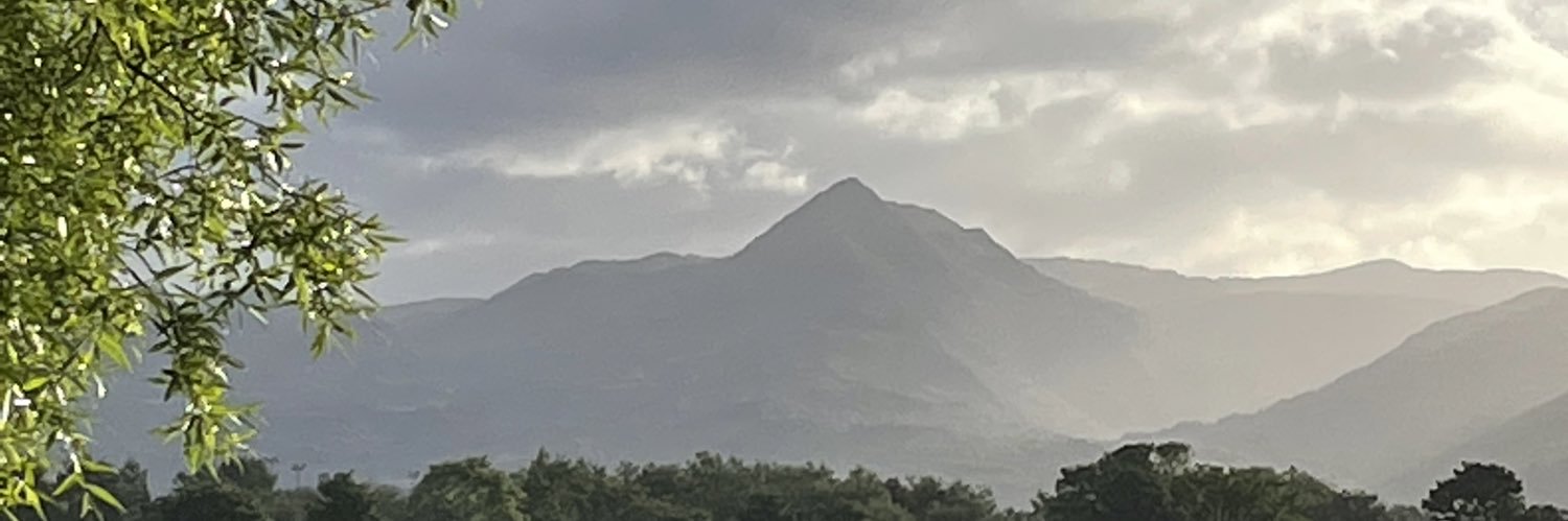 le_puke's profile banner image