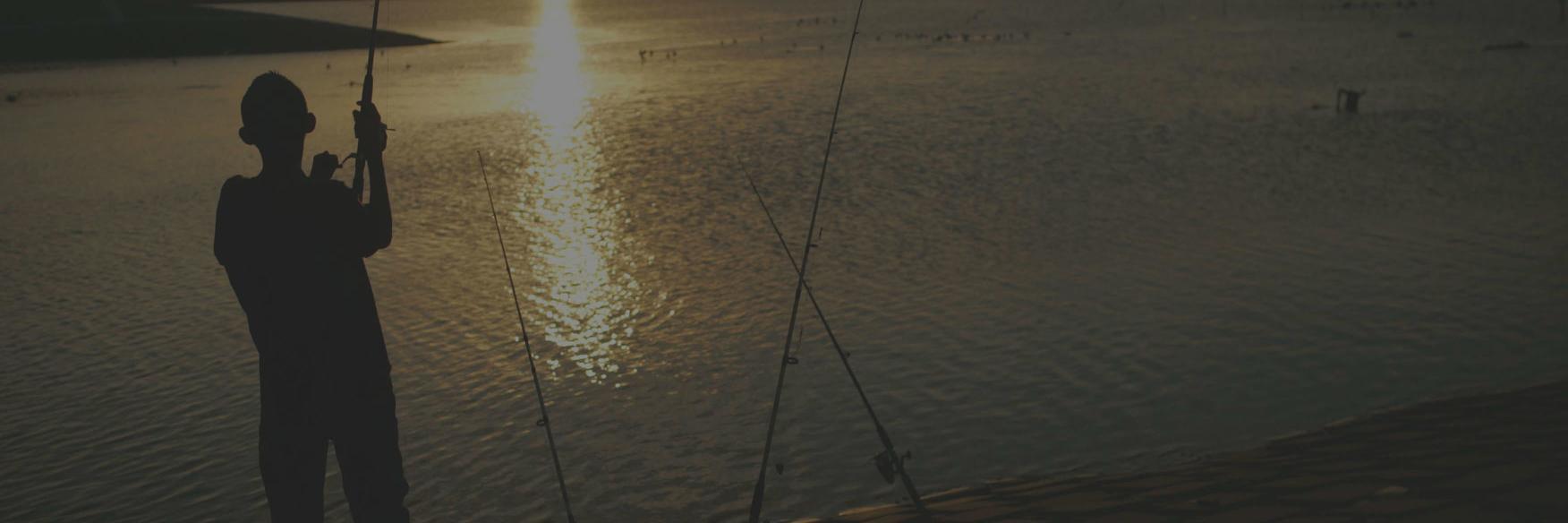 TrophyTagged's profile banner image