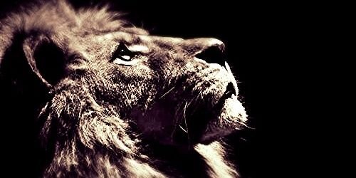 dabero93's profile banner image