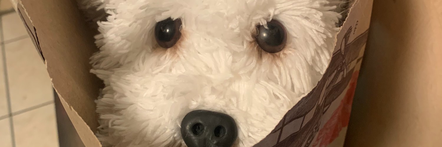 ymasullo's profile banner image