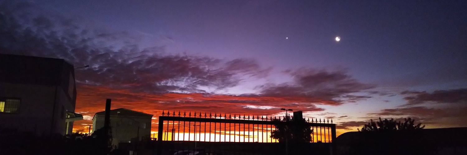 Javi Rodríguez banner