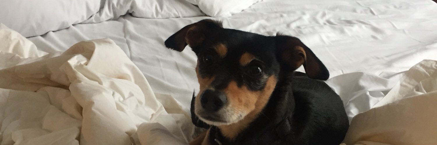 PetCarePartner's profile banner image
