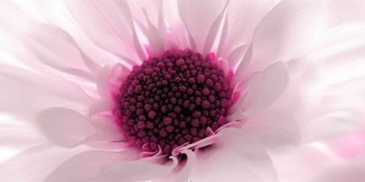 ShM_MeMo's profile banner image