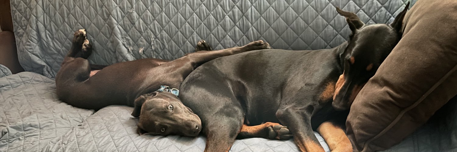 sofios0's profile banner image