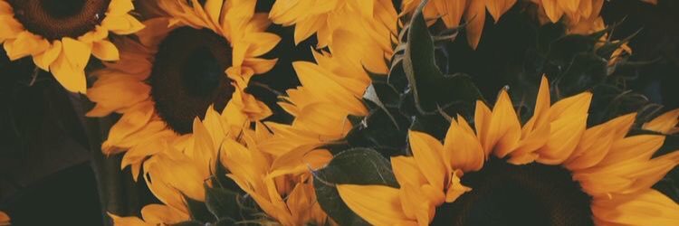 kailcal13's profile banner image