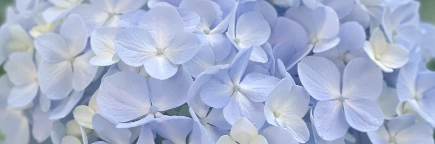 ruruera's profile banner image