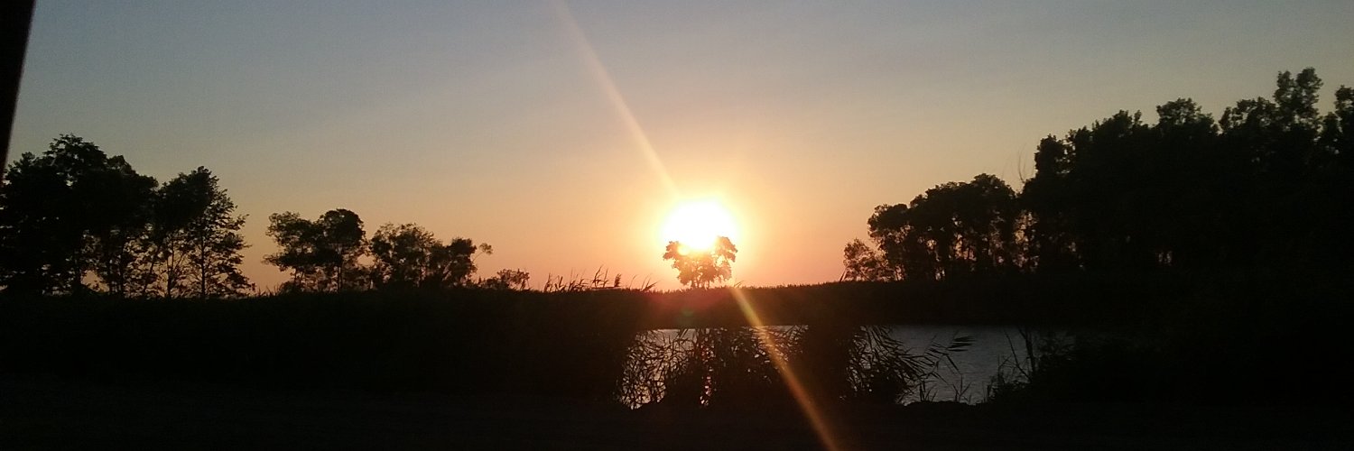 📚 Author Maryann Gestwicki 📚♑ banner