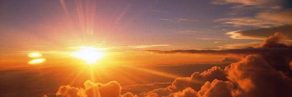 robaiee Profile Banner