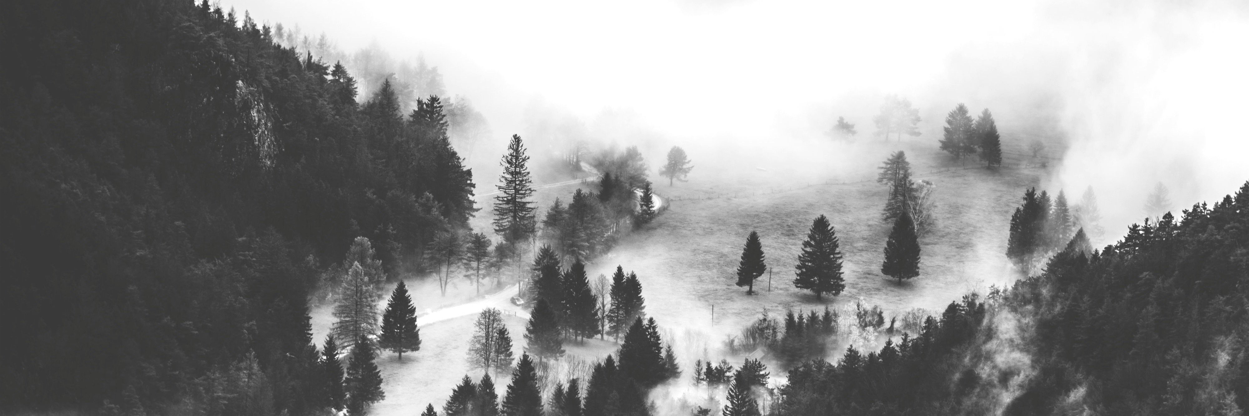 davidisperez's profile banner image