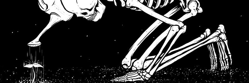 Doringard's profile banner image