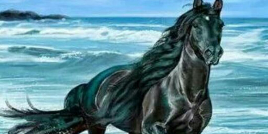 waed alkhalde banner