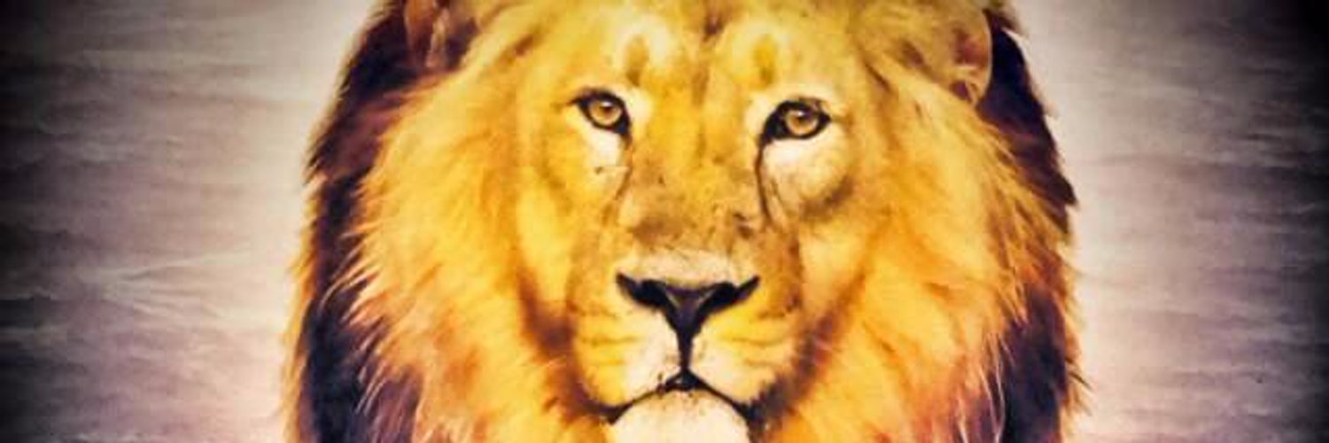 seemaveera's profile banner image