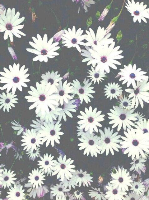 _camilalmiron's profile banner image