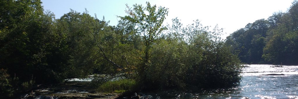 robbrustad's profile banner image