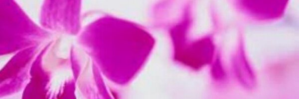 AlexisDeacon Profile Banner