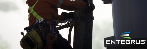 Entegrus Profile Banner