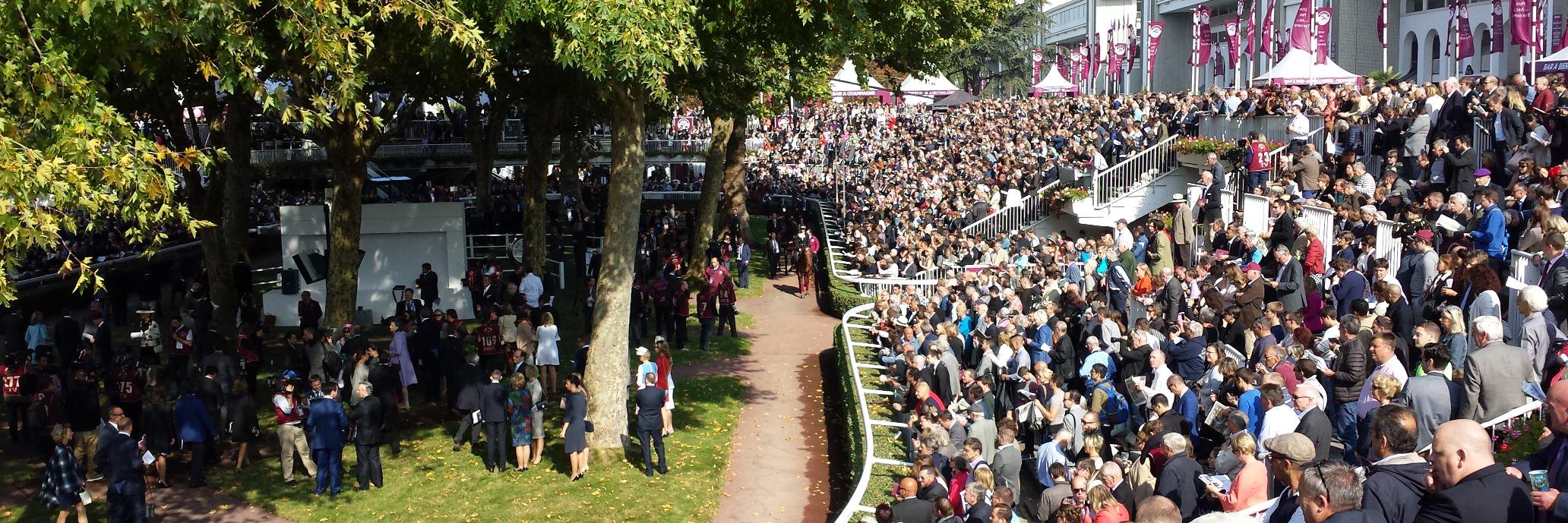 Niall Mc Williams banner