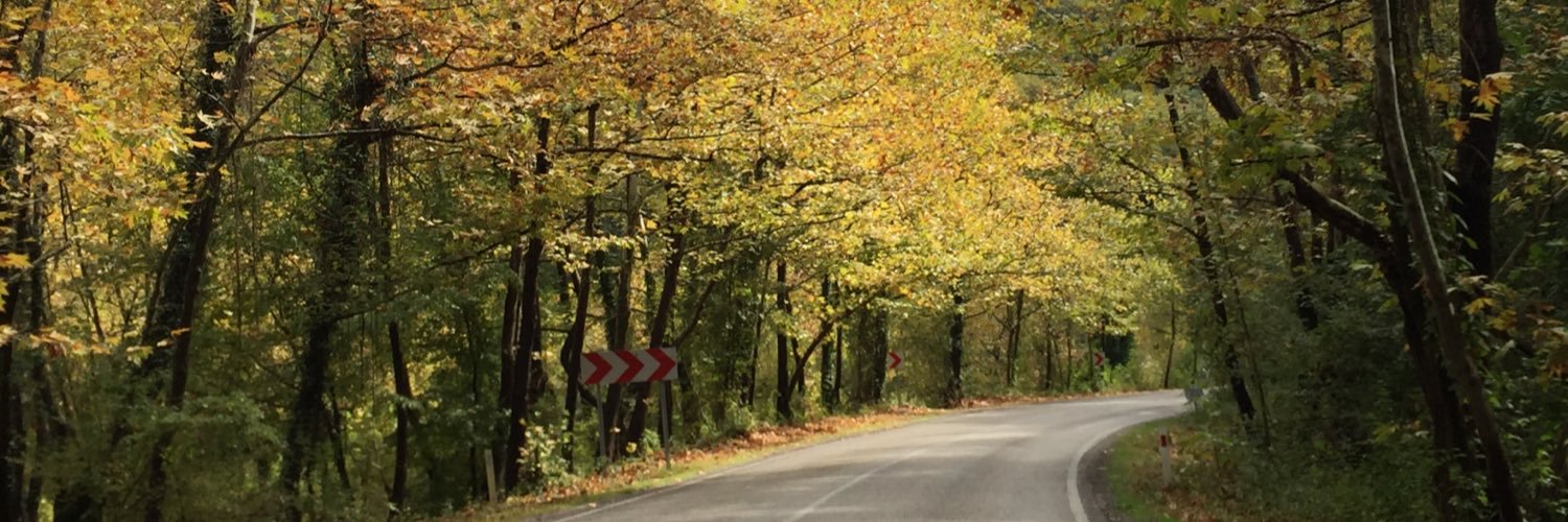 mujganelif's profile banner image