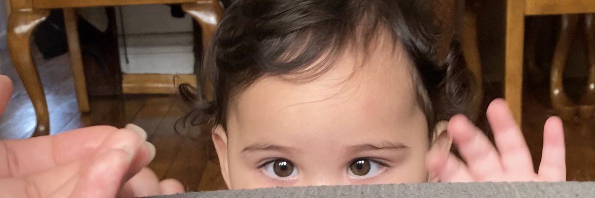 vanessalolol's profile banner image