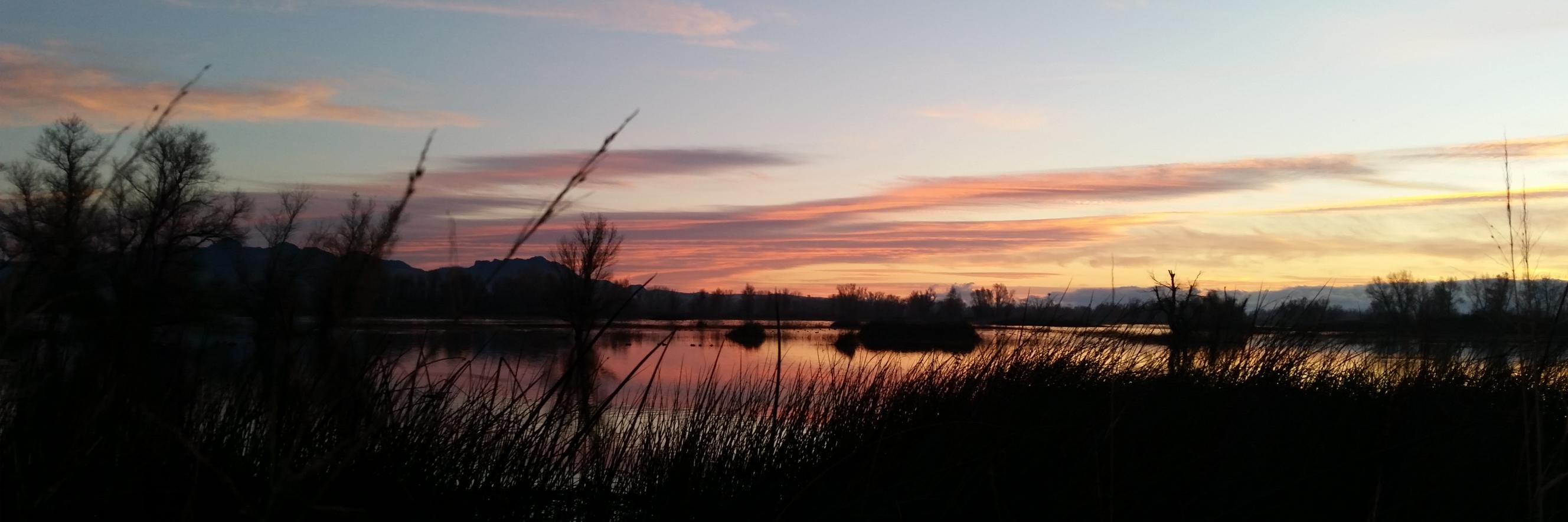 ChicoSolNews's profile banner image