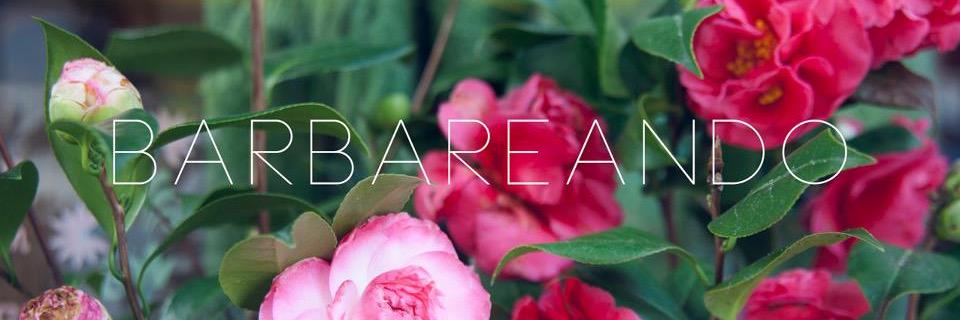 andoBarbareando's profile banner image