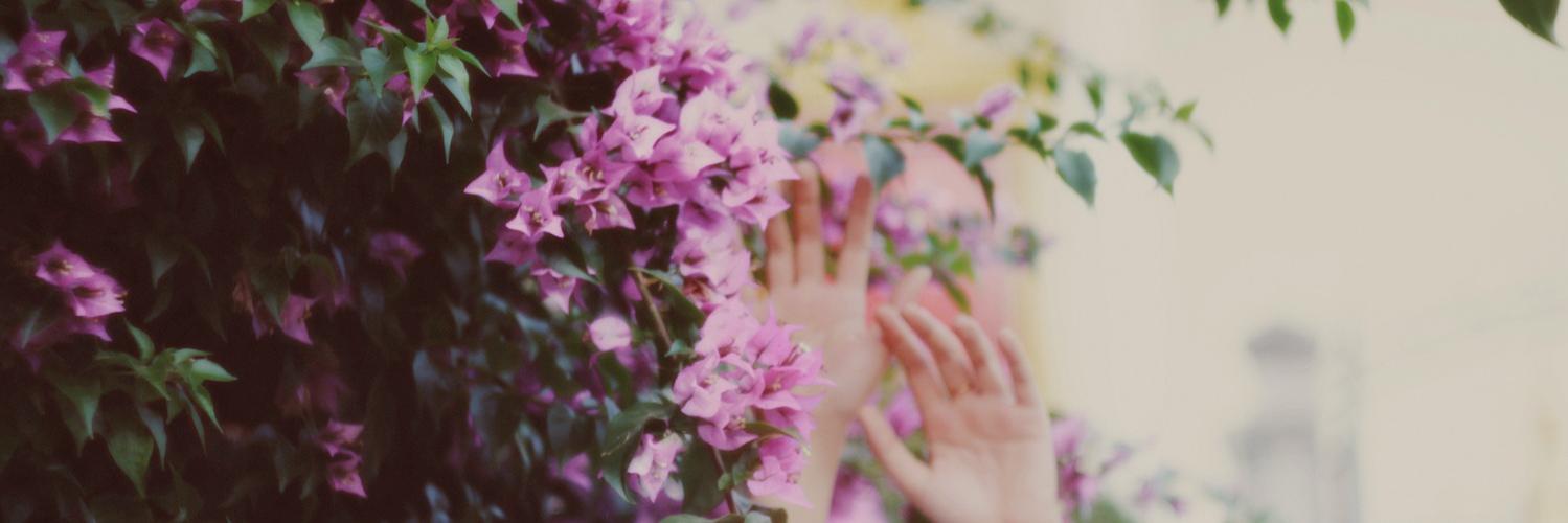 emilyems_'s profile banner image