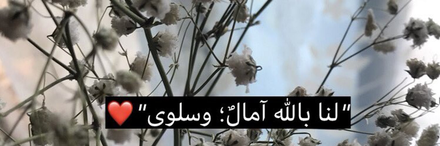 17_haneen's profile banner image
