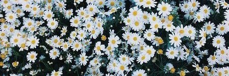 abagailkay's profile banner image