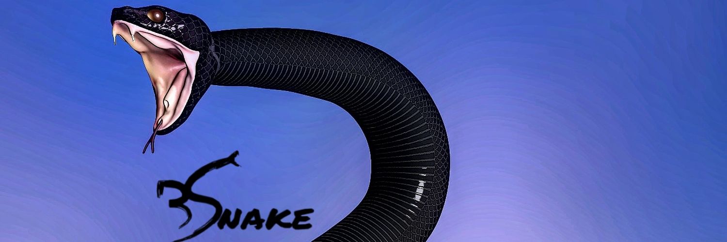 BSnake05's profile banner image