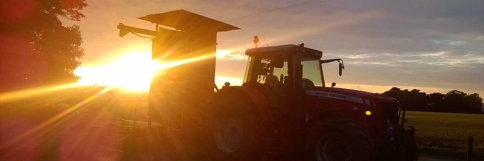 AimeeSinnott's profile banner image