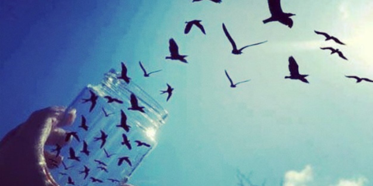 Hannah_Brookes's profile banner image
