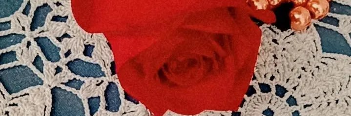 PeraltaMariaJ's profile banner image