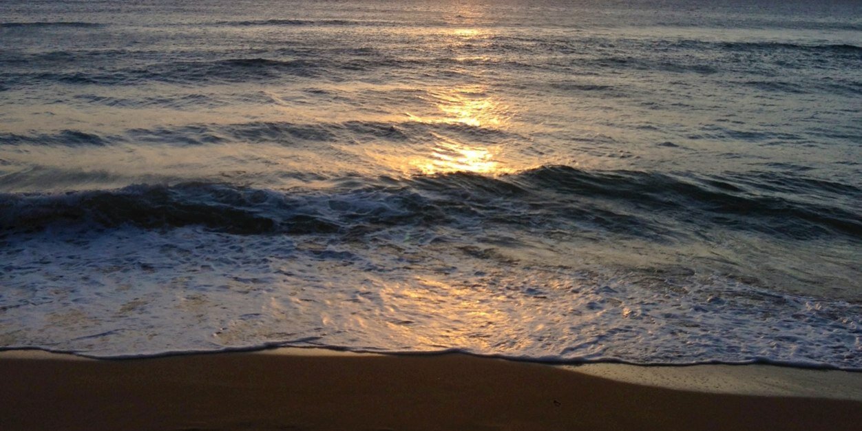 sydney915's profile banner image
