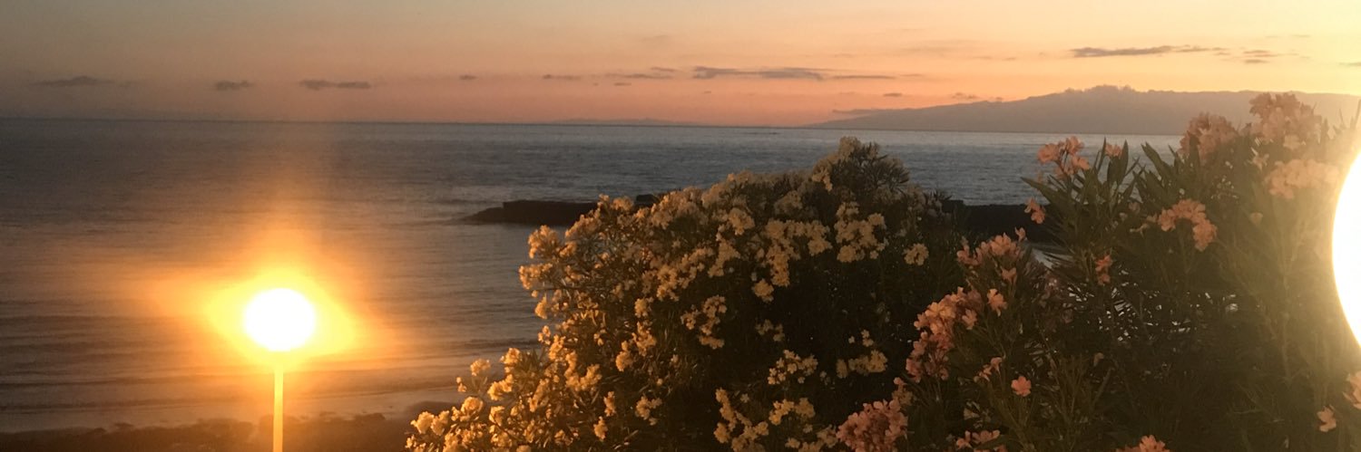 Bibsterbear's profile banner image
