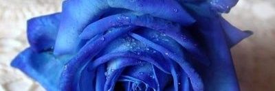 redekira's profile banner image