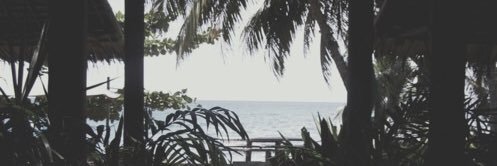 fayste's profile banner image