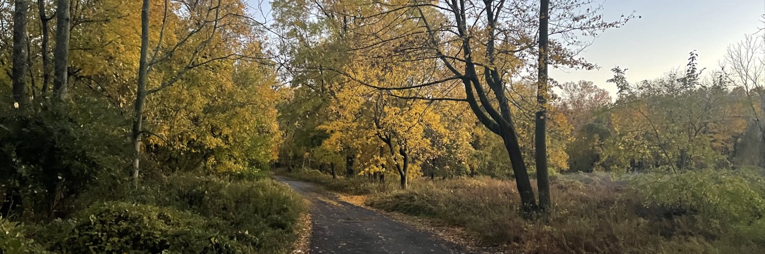LBacaj's profile banner image