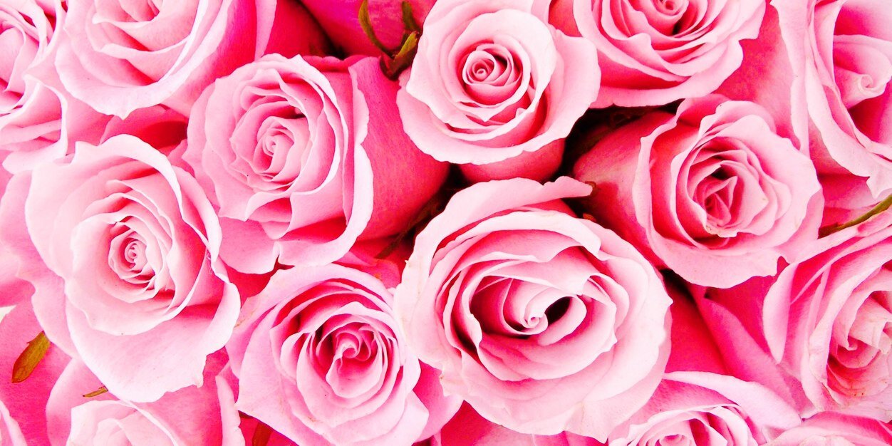 _DivaFever's profile banner image