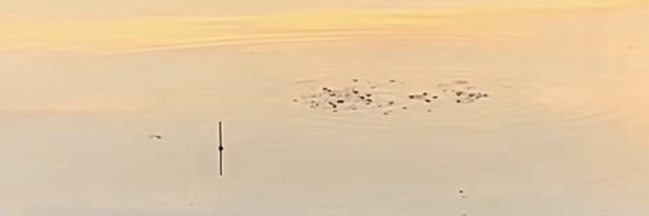 richnotts1's profile banner image