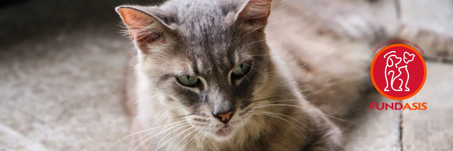 Fundación San Francisco de Asís ( FUNDASIS ) banner