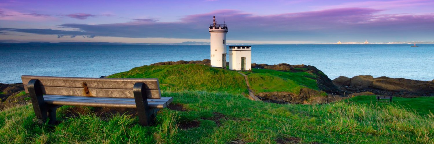 Bee (Bee@mstdn.ca) banner