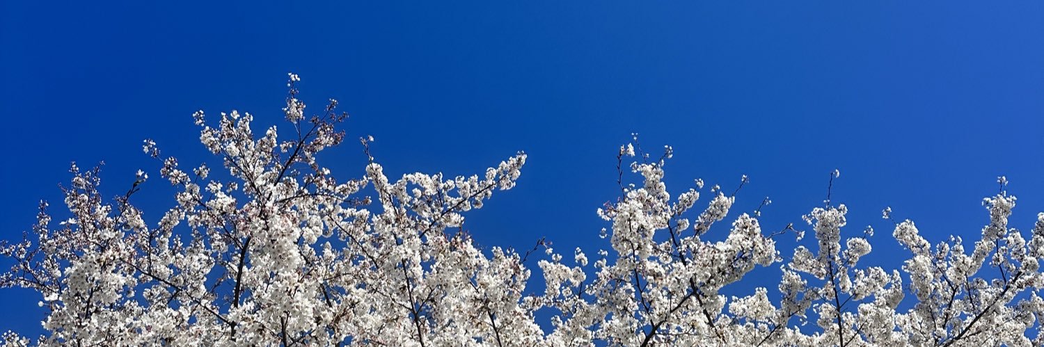 ErinSwauger's profile banner image
