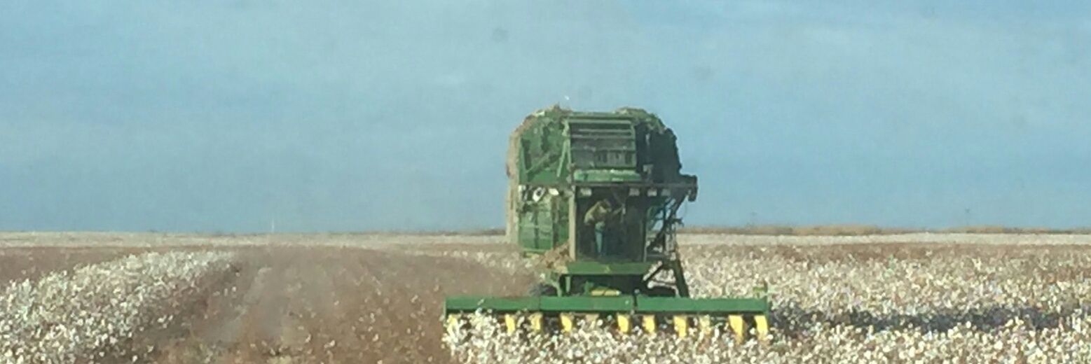 jnelhusker's profile banner image