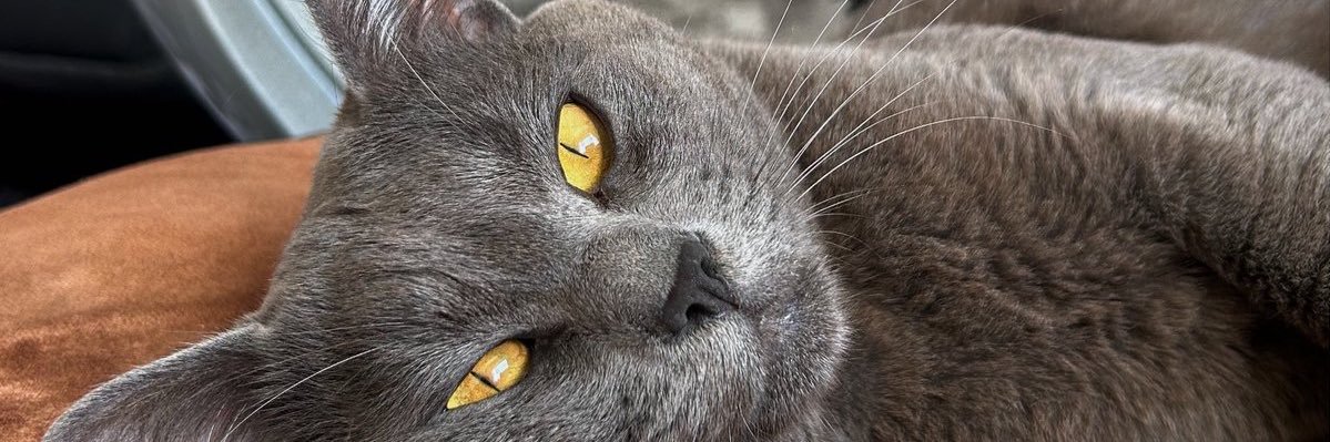 luuhelenna's profile banner image